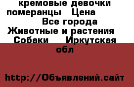 кремовые девочки померанцы › Цена ­ 30 000 - Все города Животные и растения » Собаки   . Иркутская обл.